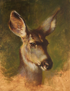 Ezra Tucker - &quot;Mule Deer Doe Portrait&quot;